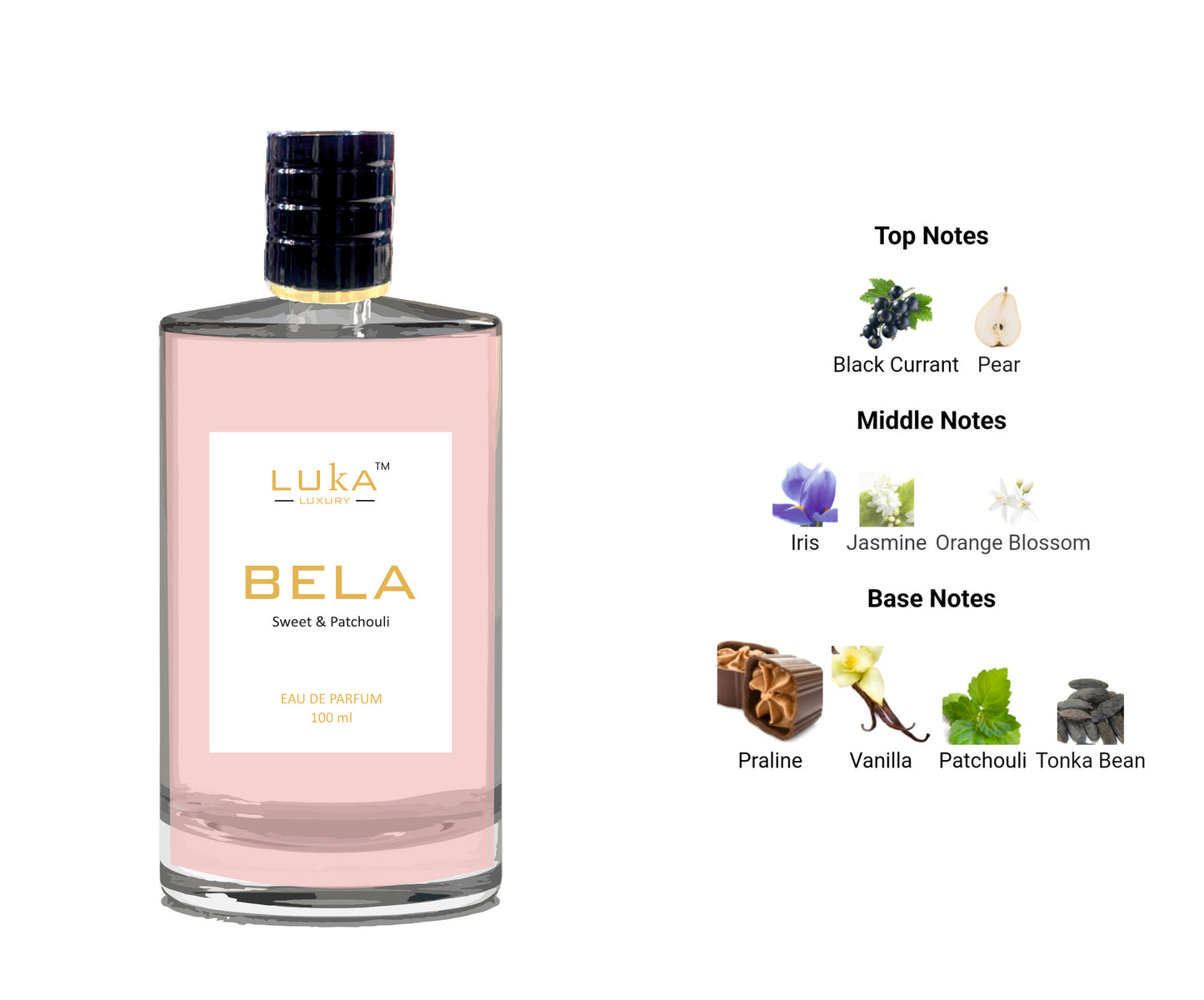 BELA