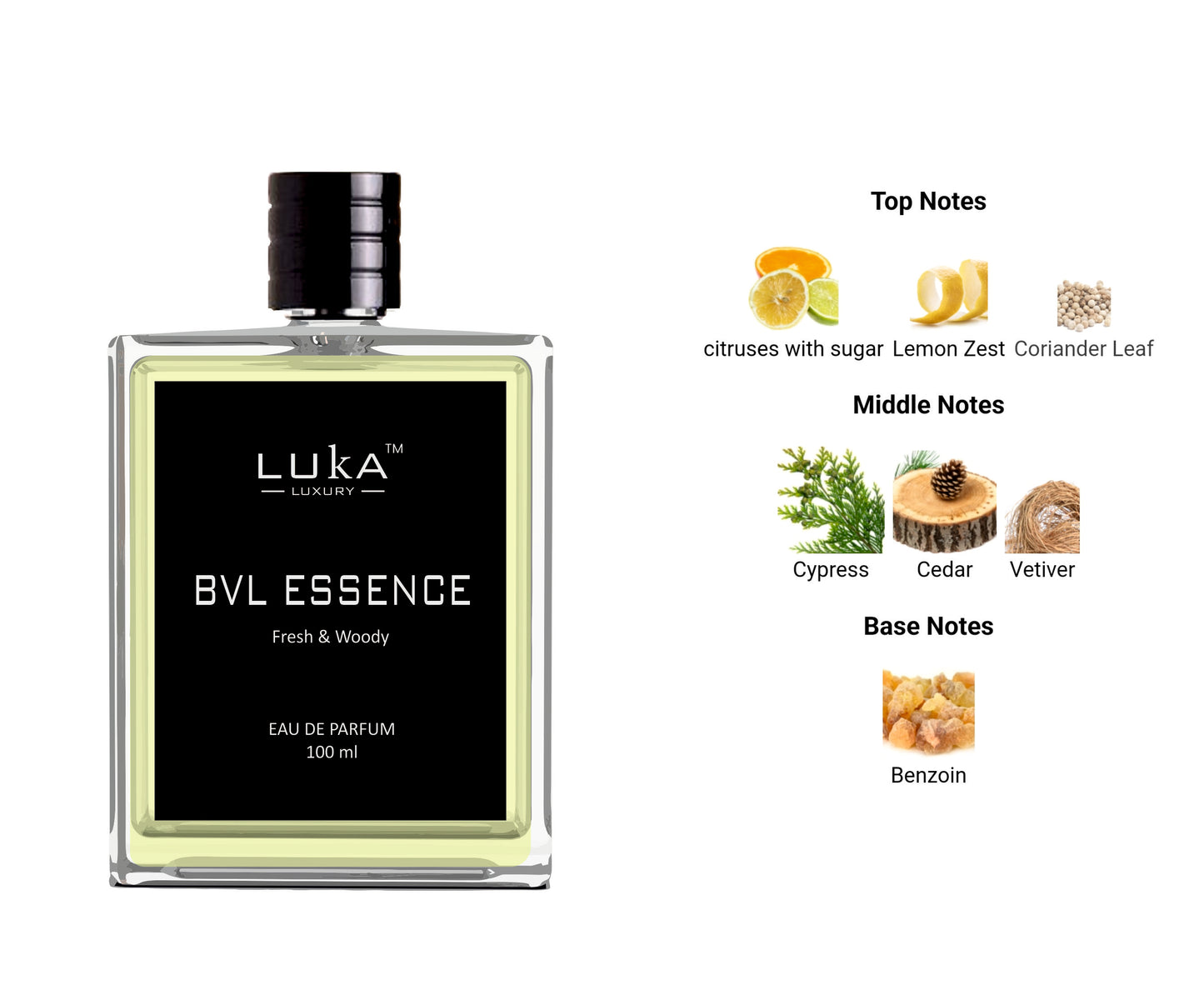 BVL ESSENCE