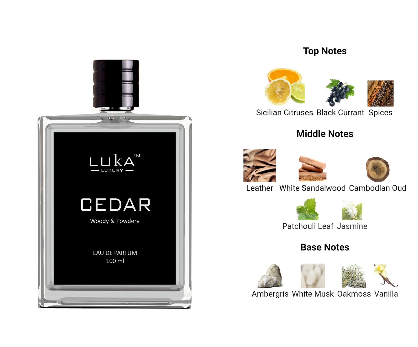 CEDAR