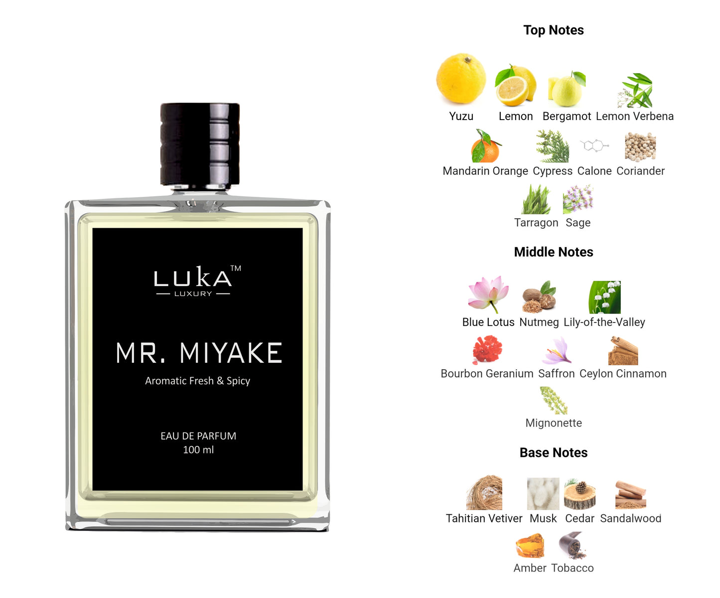 MR.MIYAKE