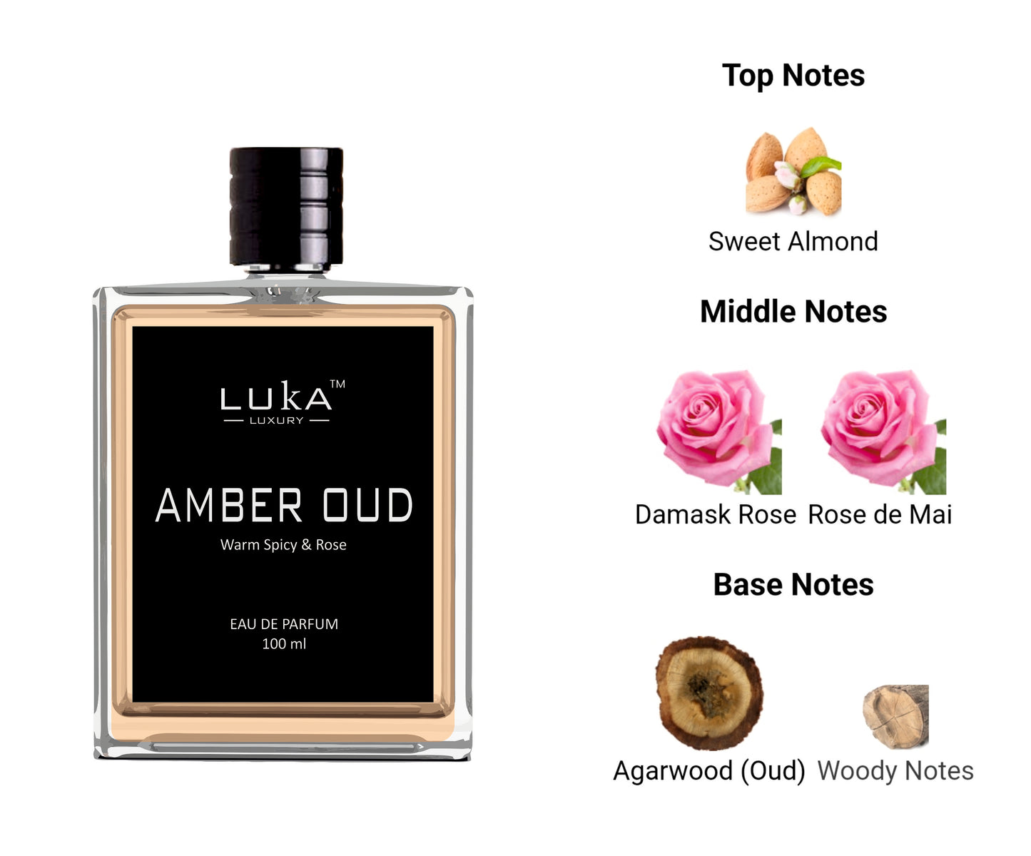AMBER OUD