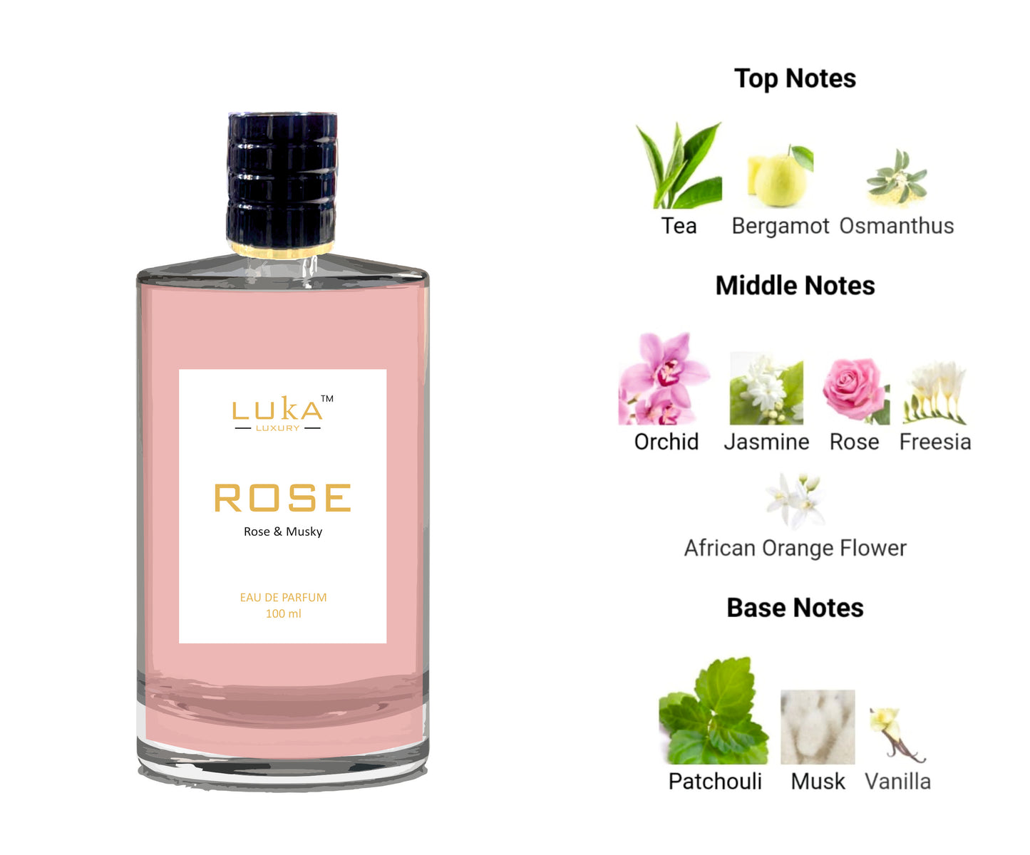 ROSE