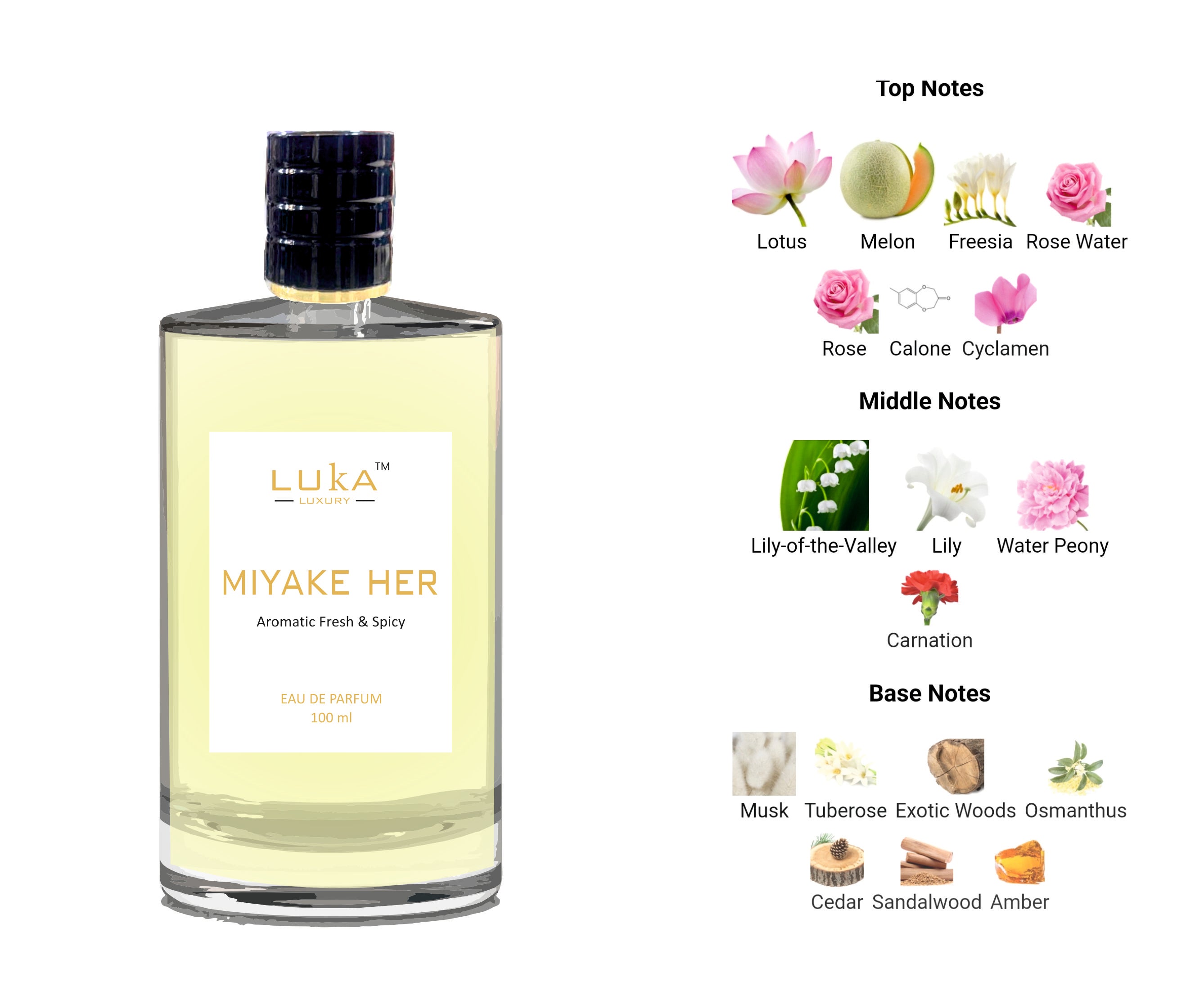 MIYAKE HER – Luka Luxury